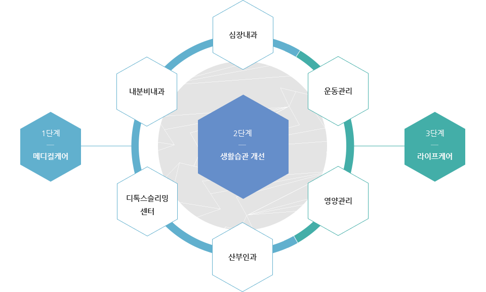 메디컬케어와 라이프케어를 통한 생활습관 개선. 메디컬케어: 순환기내과, 내분비내과, 디톡스슬리밍 센터, 산부인과. 라이프케어: 운동관리, 영양관리.