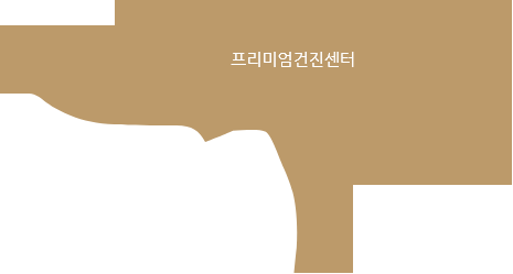 프리미엄건진센터