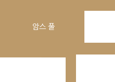 암스 풀