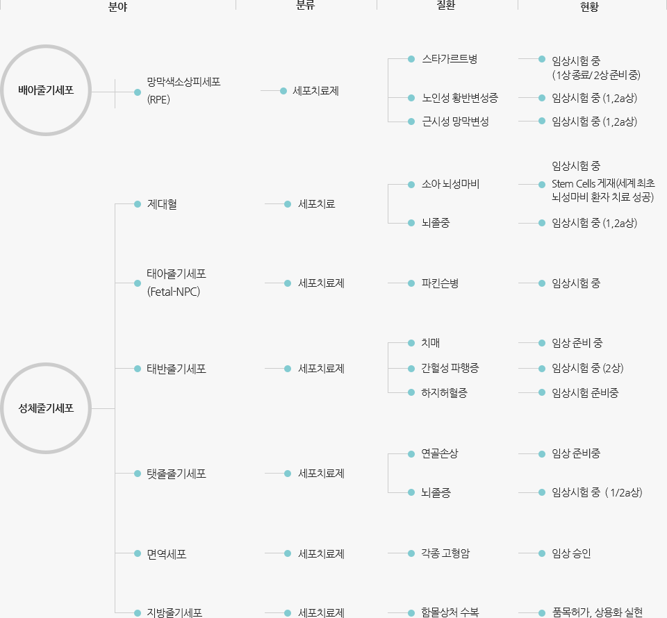 배아줄기세포의 망막색소상피세포 (RPE)분야는 세포치료제로 분류되며, 질환으로는 스타가르트병(임상시험 중 (1상)), 노인성 황반변성증(임상시험 중 (1,2a상)), 근시성망막변성(임상시험 중 (1,2a상))이 있습니다. 성체줄기세포의 제대혈분야는 세포치료로 분류되며, 질환으로는 소아뇌성마비(Stem Cells 게재(세계 최초 뇌성마비 환자 치료성공)임상시험 중), 뇌졸중(임상시험 중 (1,2a상))이 있습니다. 성체줄기세포의 태아줄기세포(Fetal-NPC)는 세포치료제로 분류되며, 질환으로는 파킨슨씨병(임상시험 중)이 있습니다. 성체줄기세포의 태반줄기세포는 세포치료제로 분류되며, 질환으로는 치매(임상 준비중), 간헐성파행증(임상 승인), 하지허혈증(임상 준비중)이 있습니다. 성체줄기세포의 탯줄줄기세포는 세포치료제로 분류되며, 질환으로는 연골손상(임상 준비중), 뇌졸중(임상승인)이 있습니다. 성체줄기세포의 면역세포분야는 세포치료제로 분류되며 질환으로는 각종 고형암(임상 승인)이 있습니다. 성체줄기세포의 지방줄기세포는 세포치료제로 분류되며, 질환으로는 함몰상처 수복(품목허가, 상용화 실현)이 있습니다.